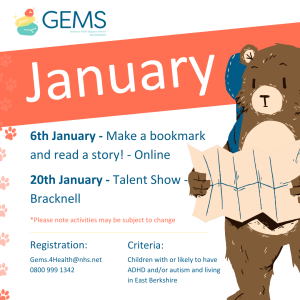 GEMS sessions January 2025